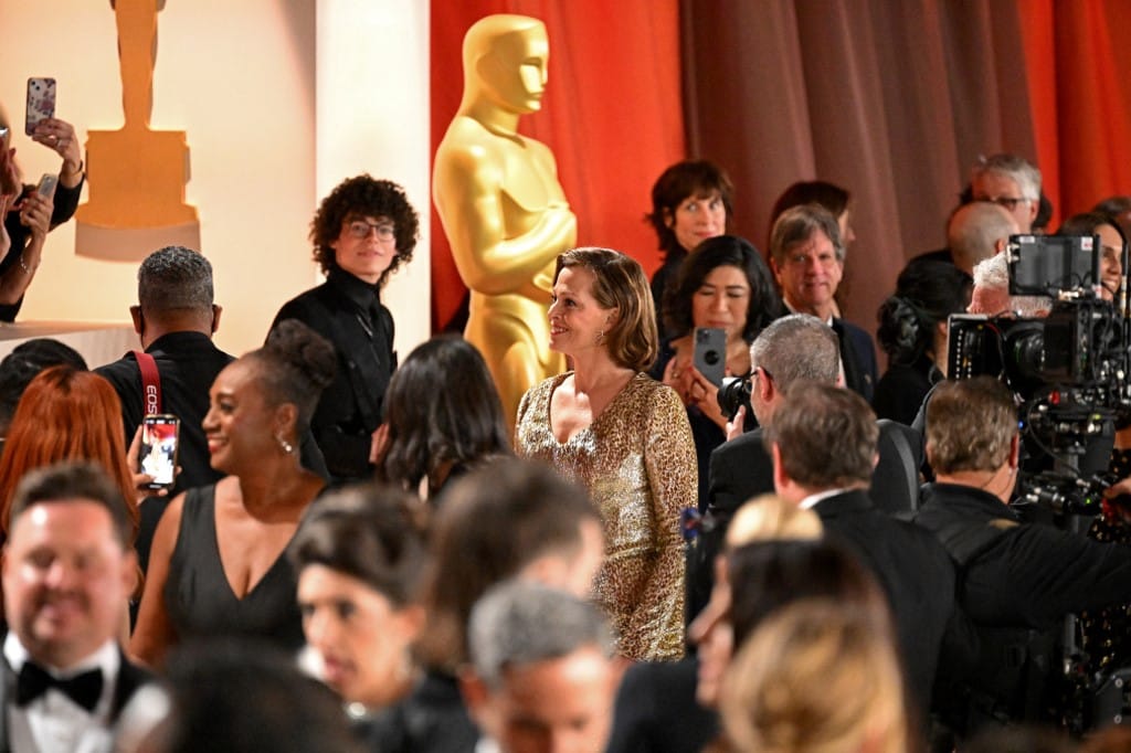 Új magyar tagja van az Oscar-díjak sorsáról döntő filmakadémiának