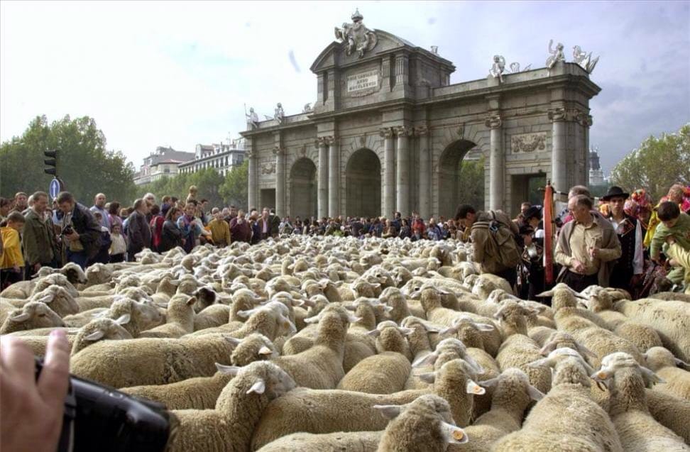 Birkafelvonulás Madridban