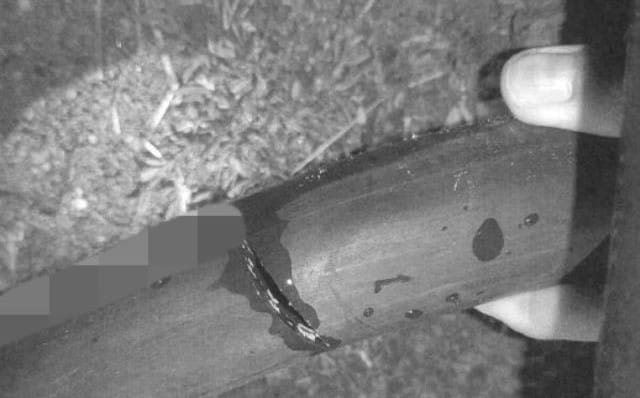Részegen elvágta egy férfi a pincéjét oltó tűzoltók tömlőjét