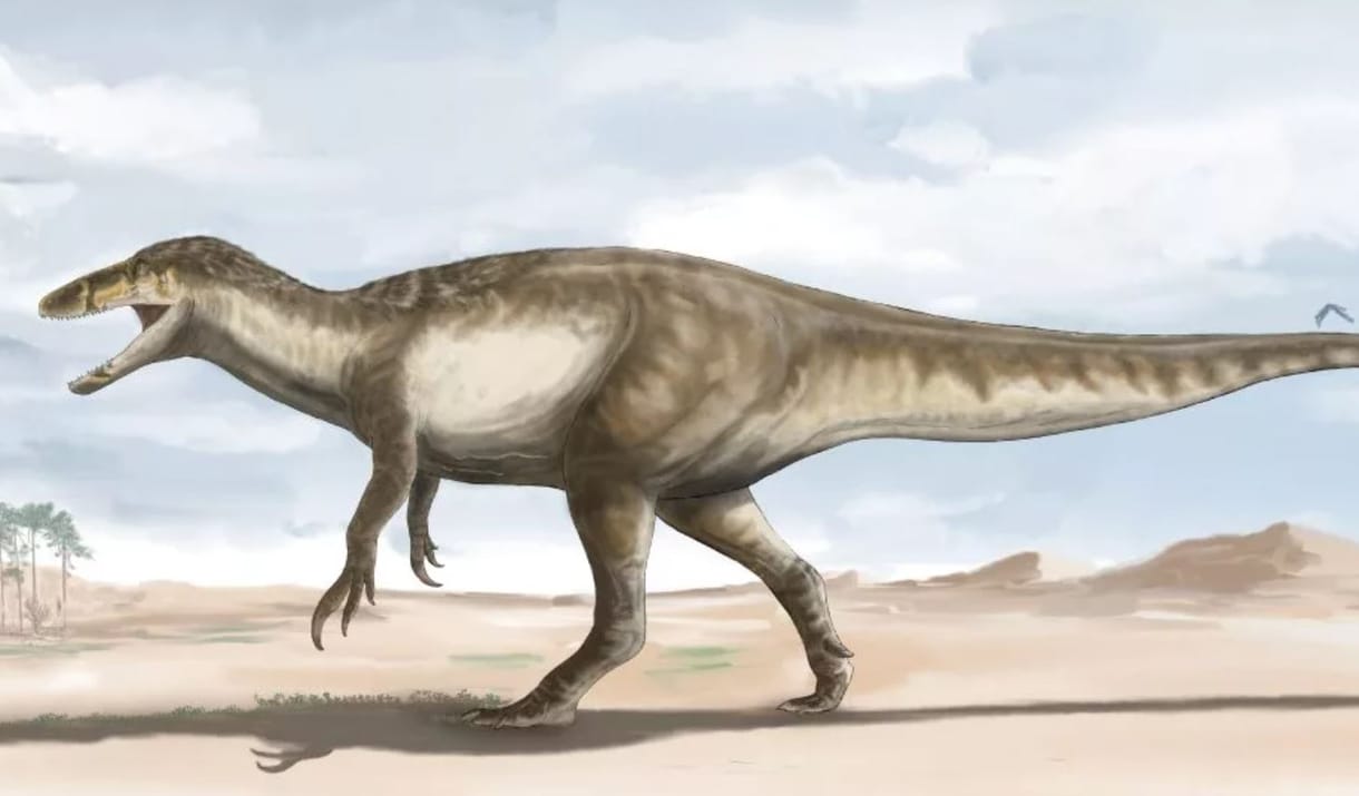 Megaraptor maradványait ásták ki kutatók, 9-10 méteres lehetett