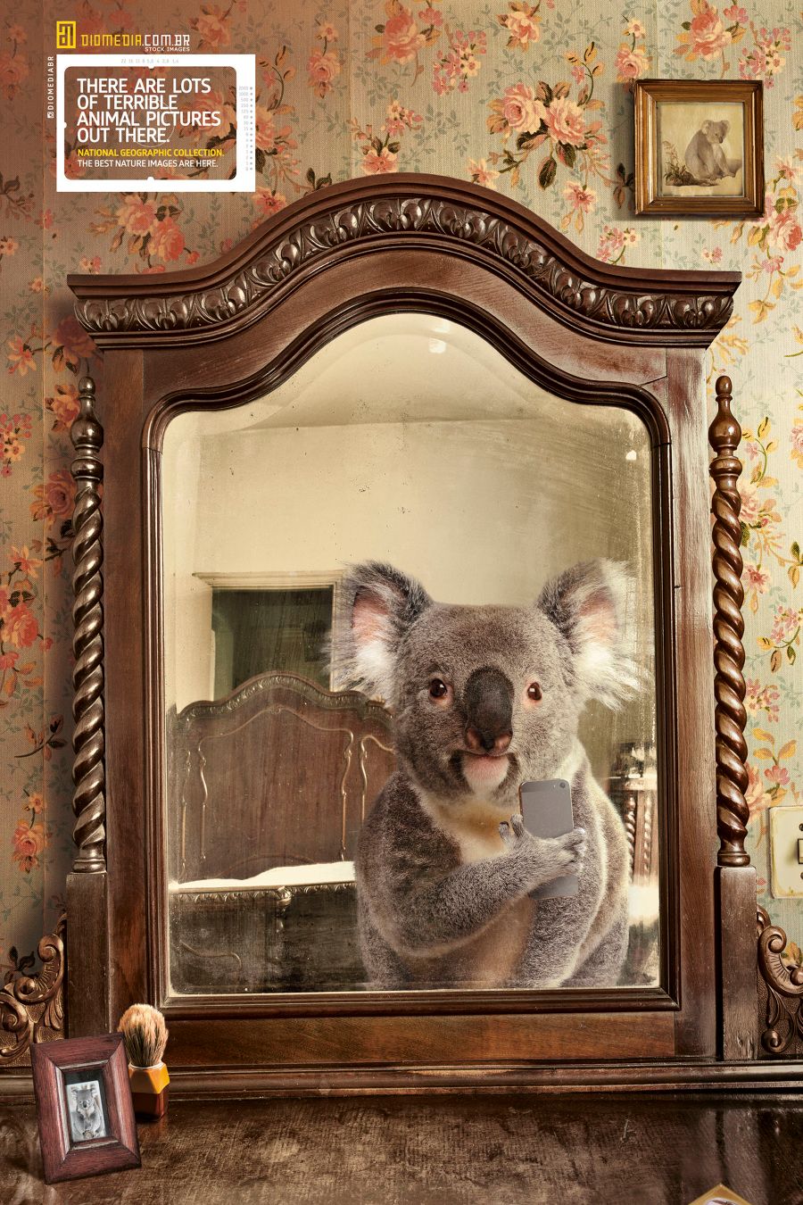 Így szelfizik egy koala