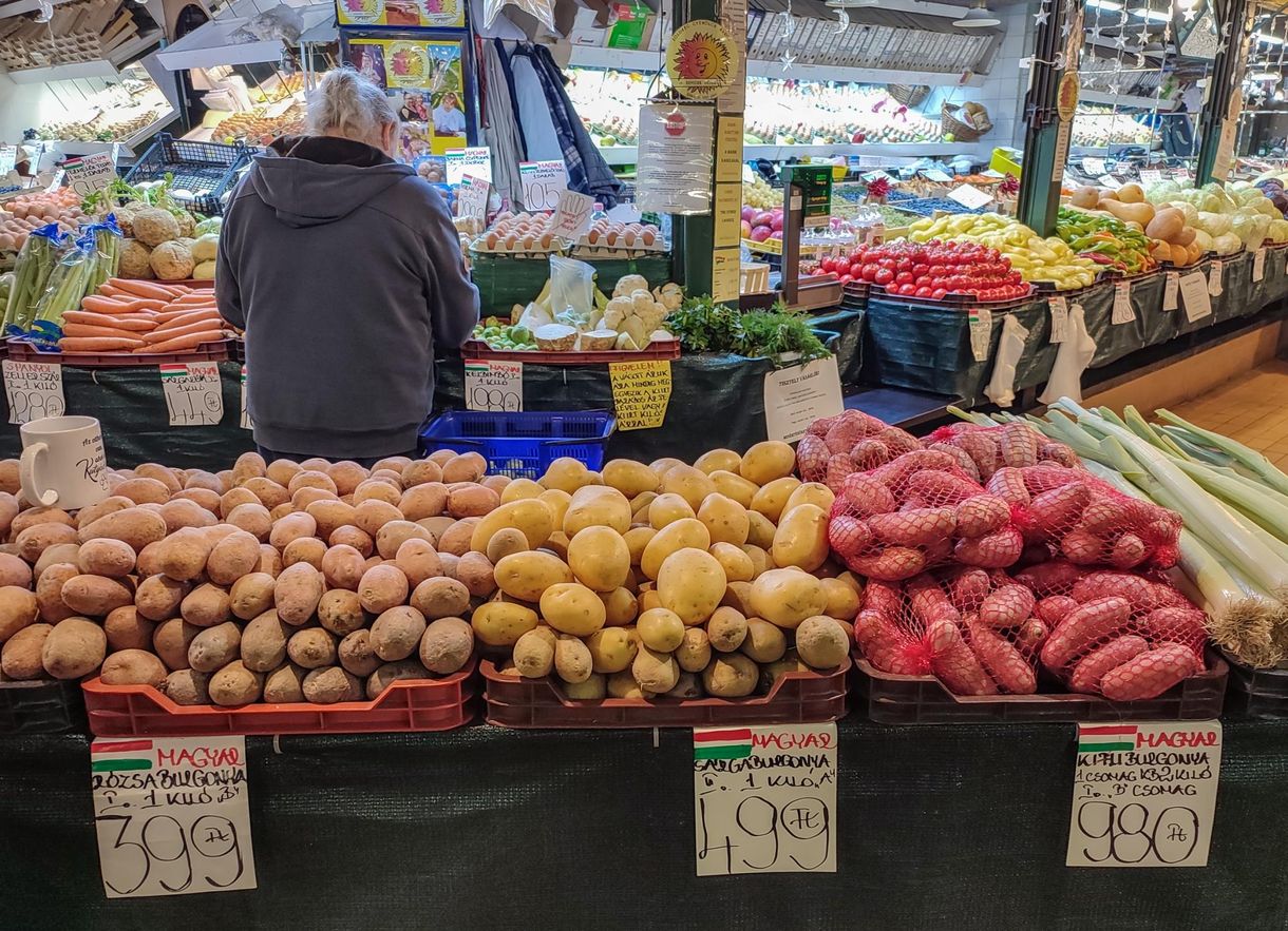 Para-Kovács Imre: A haza nem lehet ársapkában