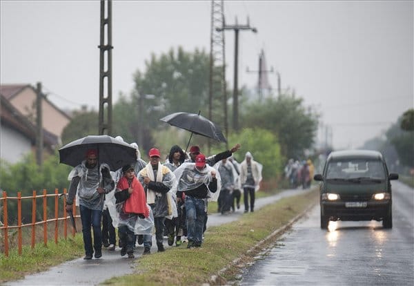 300 előregyártott házat küld az UNHCR a magyarországi menekülteknek