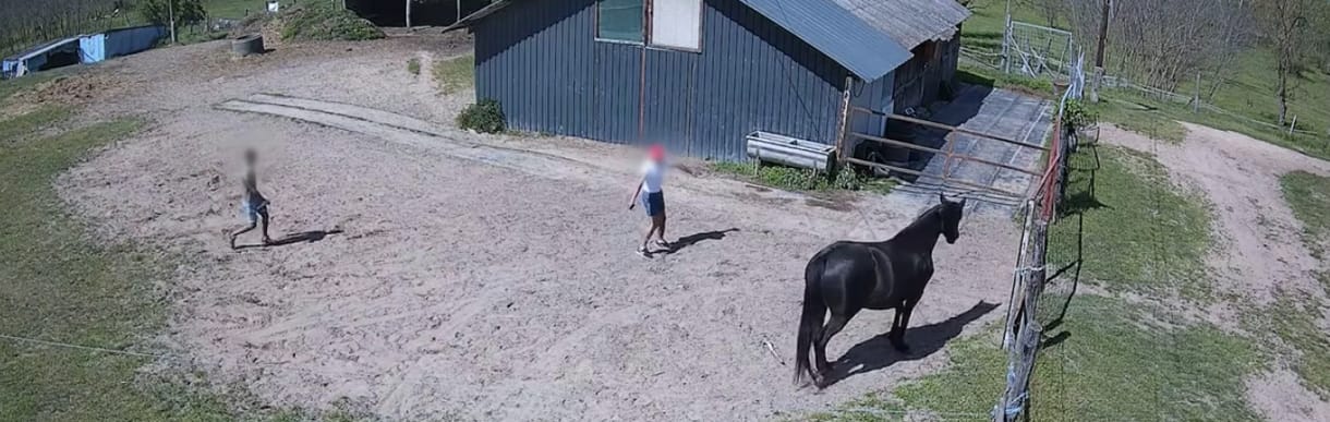 Egy nap alatt kétszer lovasították meg ugyanazt a lovat az ipolyszögi cowboyok – videó