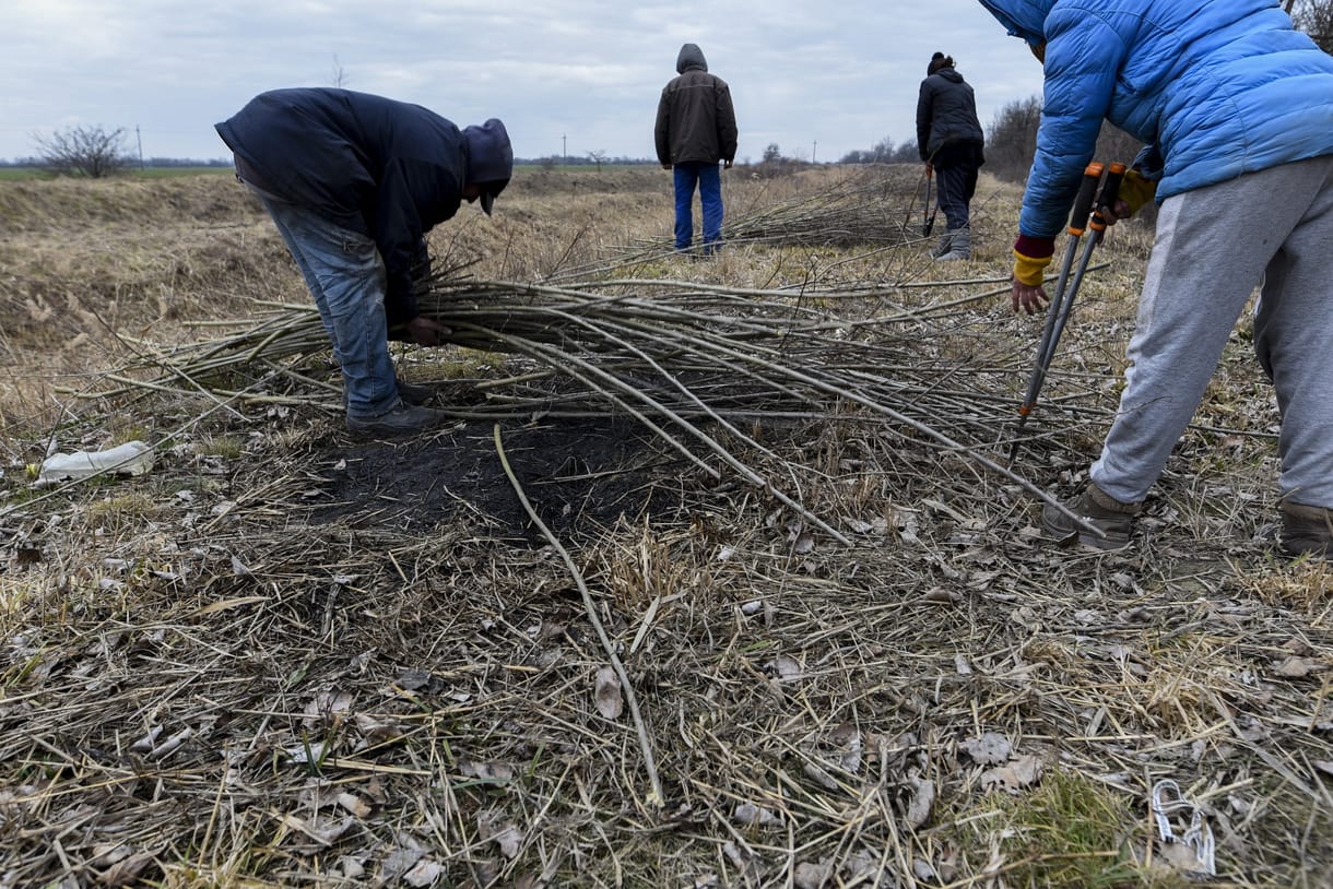 Kinek a szégyene? Amikor a közmunkásnak nincs ideje, hogy lopni menjen