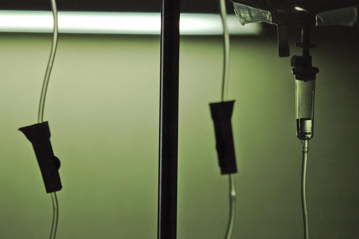 Kikapcsolták a gépeket a kórházban, meghalt a 12 éves Archie Battersbee