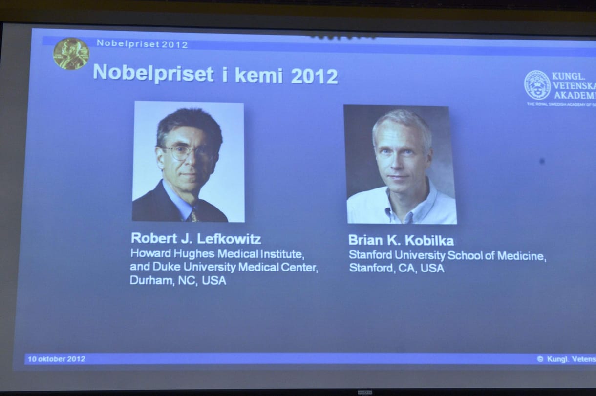 Amerikai kutatók kapták idén a kémiai Nobel-díjat