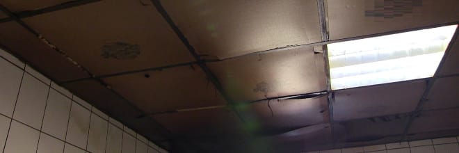 Penész és mocsok lepte el az egri pizzázót, a Nébih bezáratta