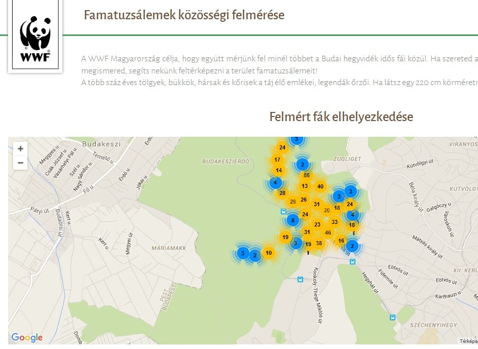 Treespotting a Normafánál: ilyen térképet még kevesen láthattak