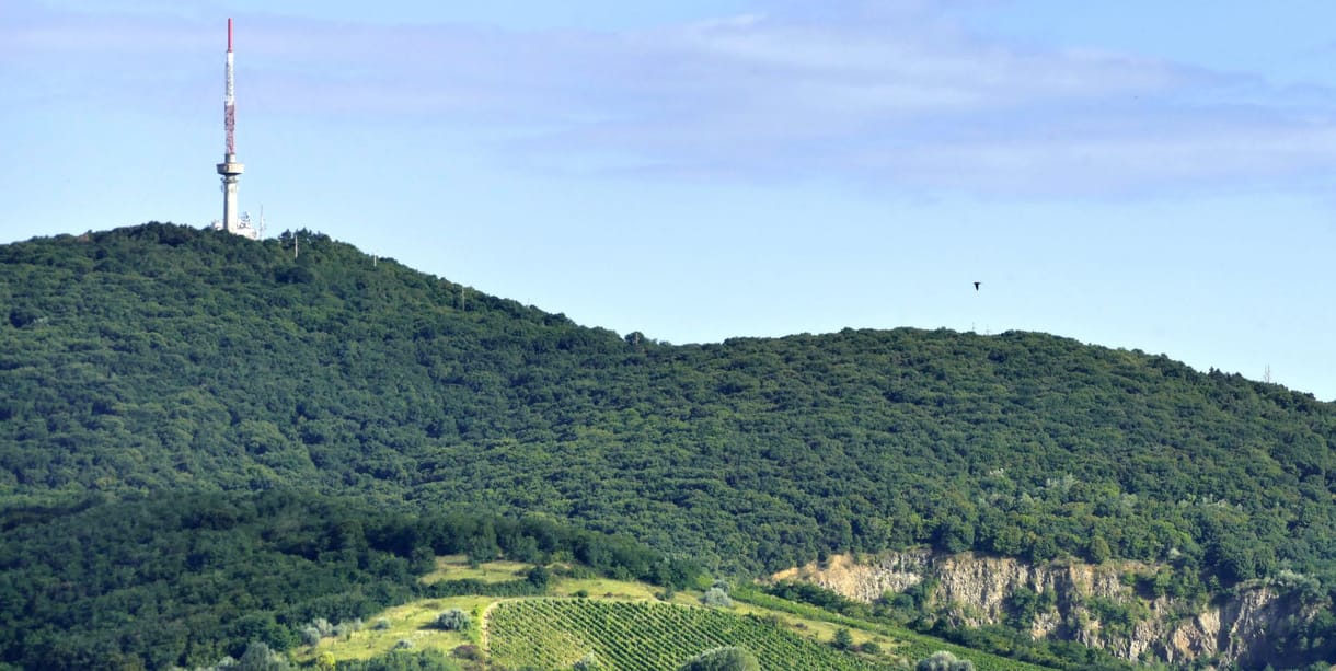 Zárt kabinos libegőt terveznek Tokajba