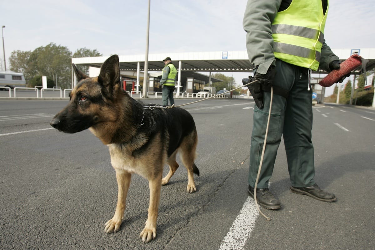 Vádat emeltek a benzinkártyával megkent NAV-vezető ellen