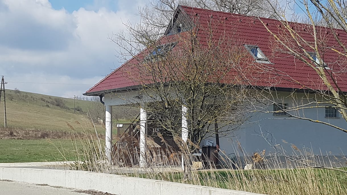 Minden jel szerint itt főtt Orbán Viktor sonkája – videó