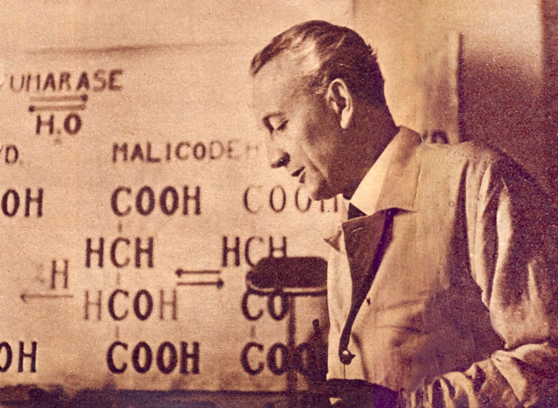 13+1 dolog, amit csak kevesen tudnak Szent-Györgyi Albertről