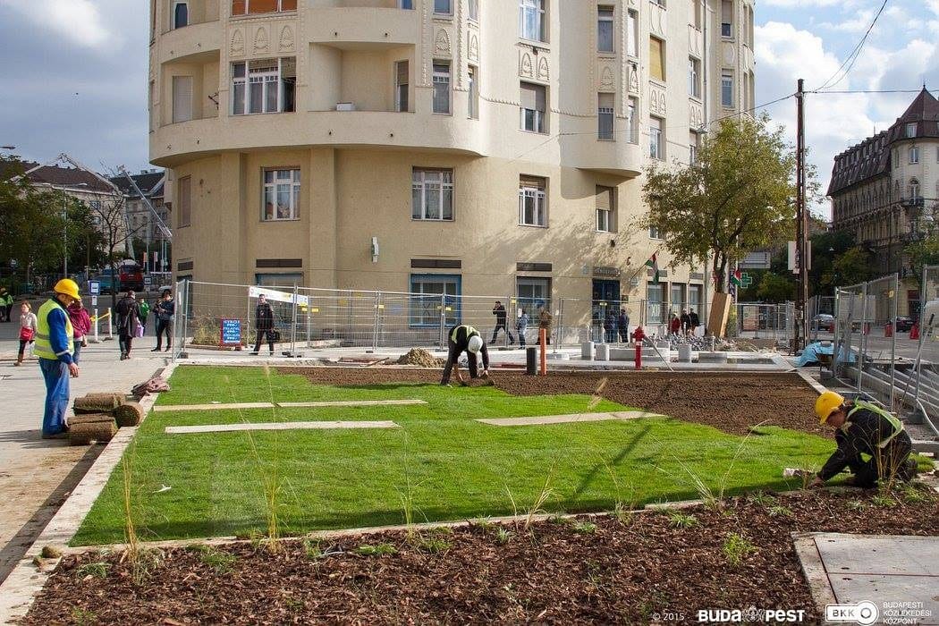 Fotók: Váratlanul kizöldült a Széll Kálmán tér