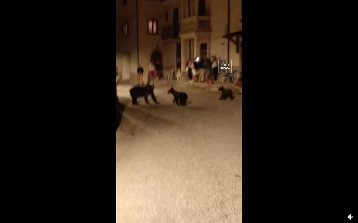 Videó: A helyi népek mellett korzózott egy medvecsalád egy abruzzói városkában