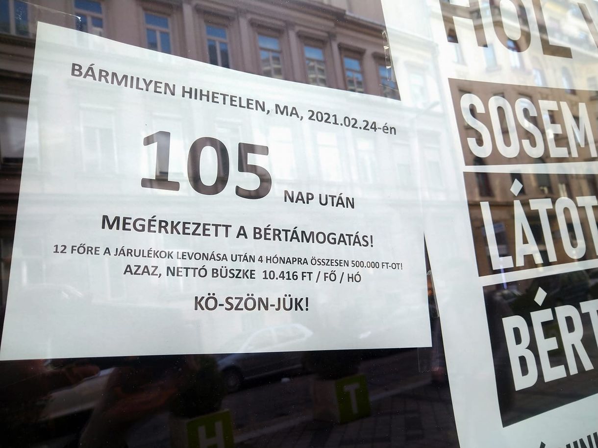 Fejenként havi 10 ezer forint lett az állami bértámogatás a járulékok levonása után a Jedermann kávézónál