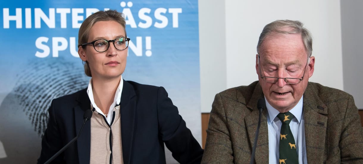 AfD-elnök: Hitler csak egy madárszar a sikeres német történelmen