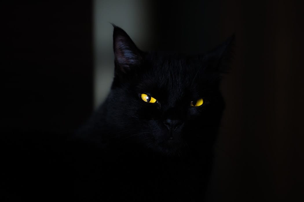 Rajtunk múlik, mennyire vagyunk szerencsések. Így segíthet magán!