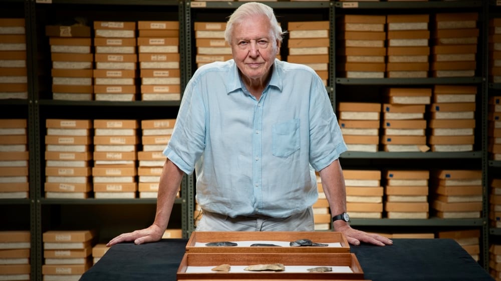 Kifizetődő a világ megmentésén fáradozni: David Attenborough-nak jól jövedelmez