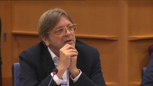Guy Verhofstadt: 