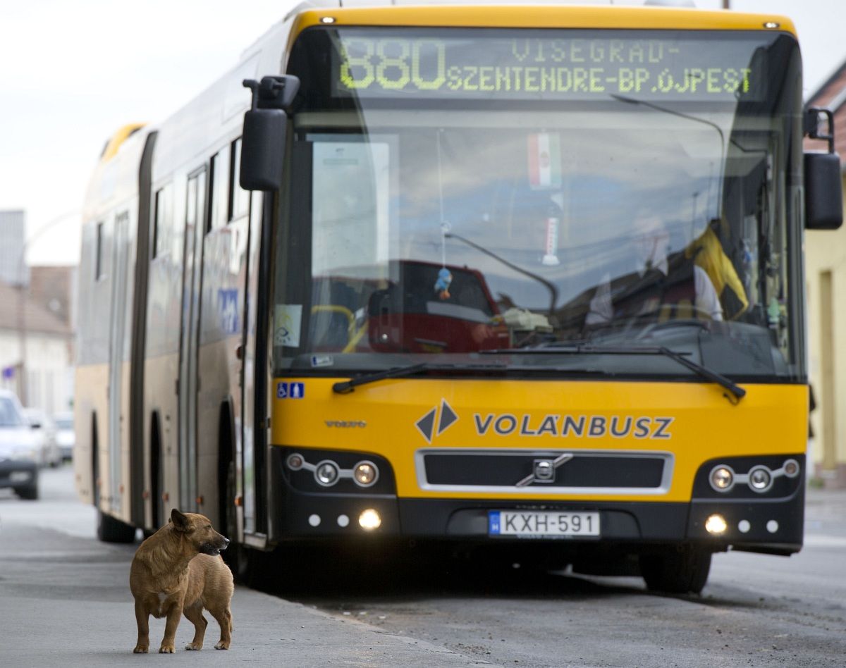 Ragaszkodik az elővárosi buszjáratok volánbuszos átvételéhez a minisztérium