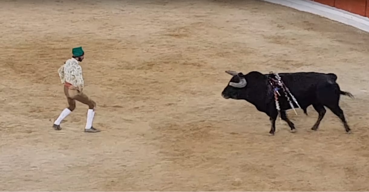 Újabb torreádort öklelt halálra egy bika – videó