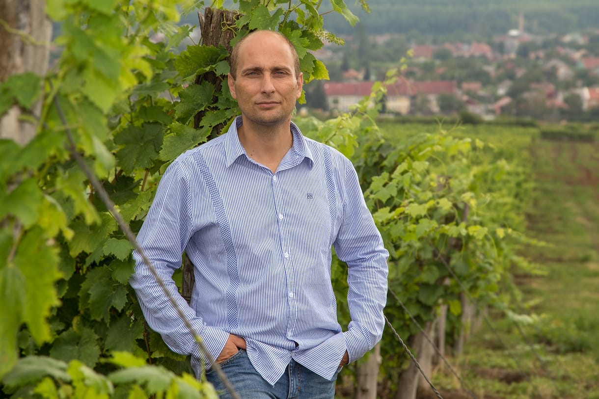 „Mi tudunk olyat szállítani, ami nekik nincs, mert az olaszoknak nemigen van illatos fajtájuk..” – interjú Molnár Gábor abasári borásszal
