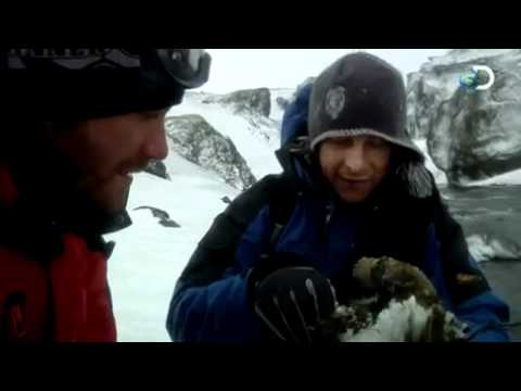 Most megtanulhatja Bear Grylls összes trükkjét