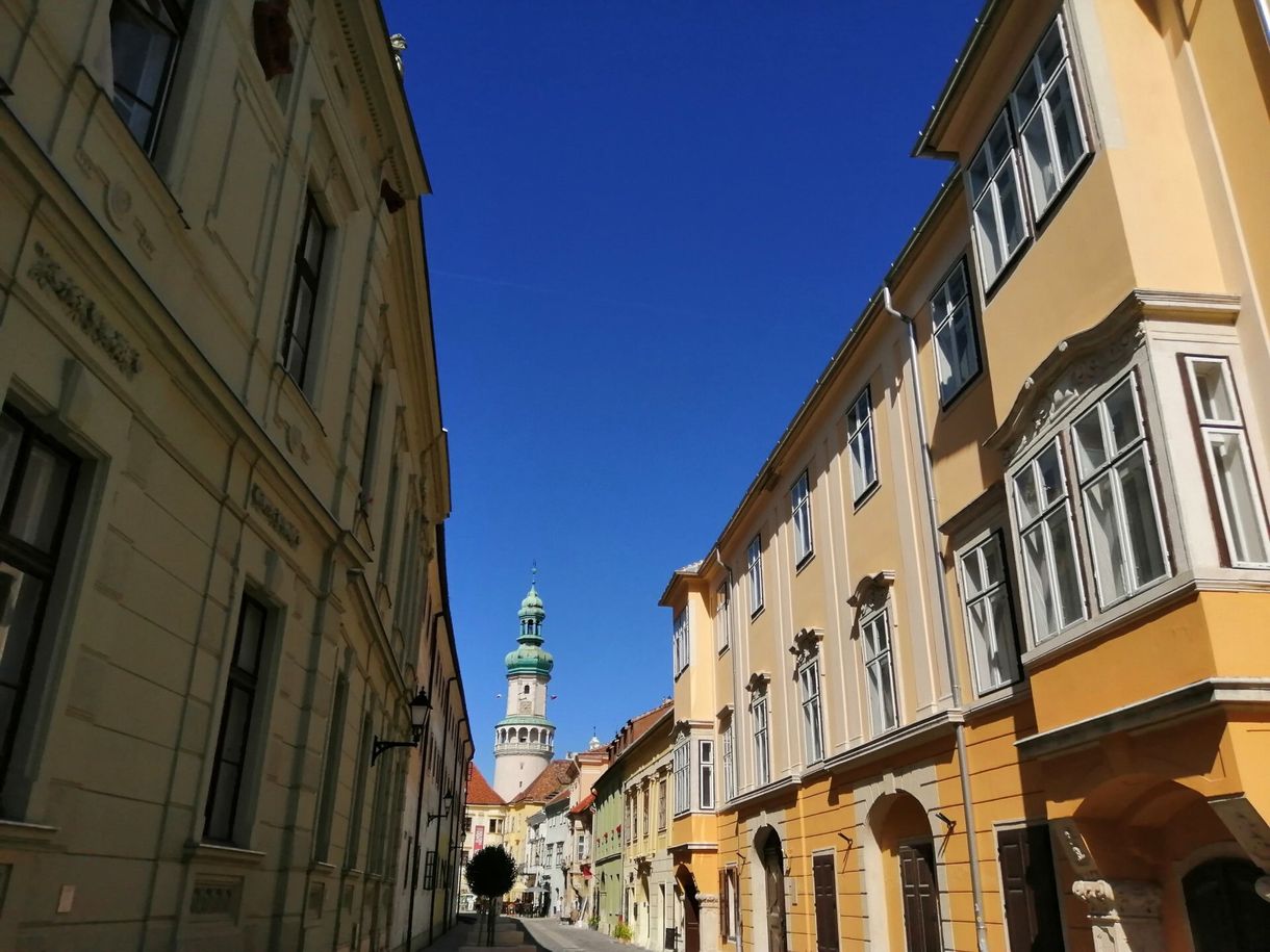Nyilvános vécé lesz Sopron hétszáz éves palotájából