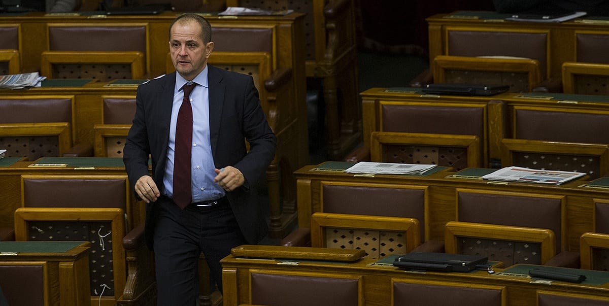 Miniszteri biztos lett Budai Gyula