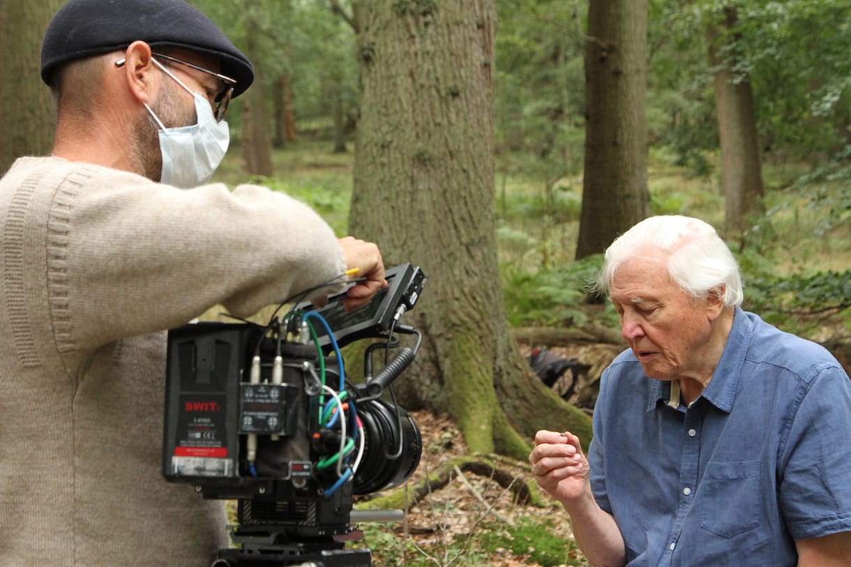 Guardian: Jobboldali kritikáktól tart, ezért nem adja le a BBC David Attenborough dokumentumfilmjét