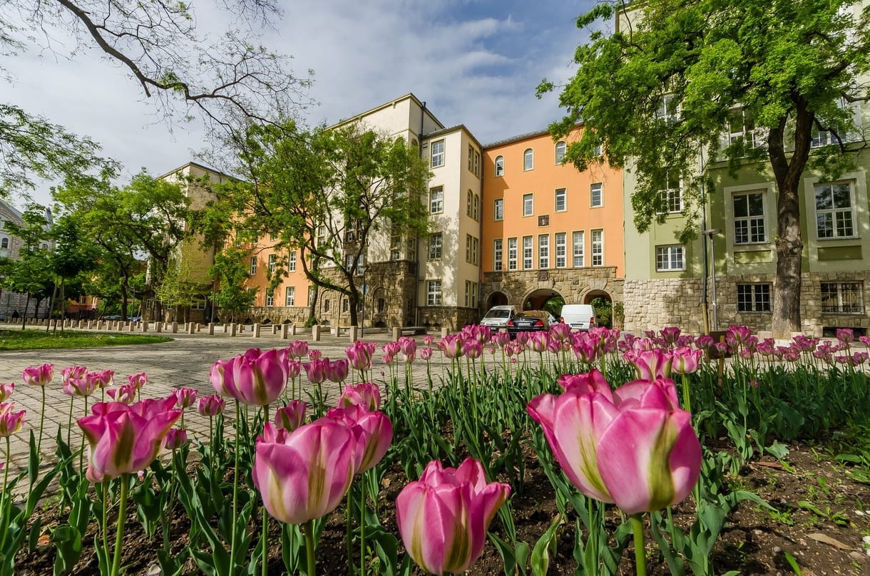 Még mindig vizsgálják a pécsi egyetemen, hogy varázsolt-e Schadl György vizsgát bárkinek