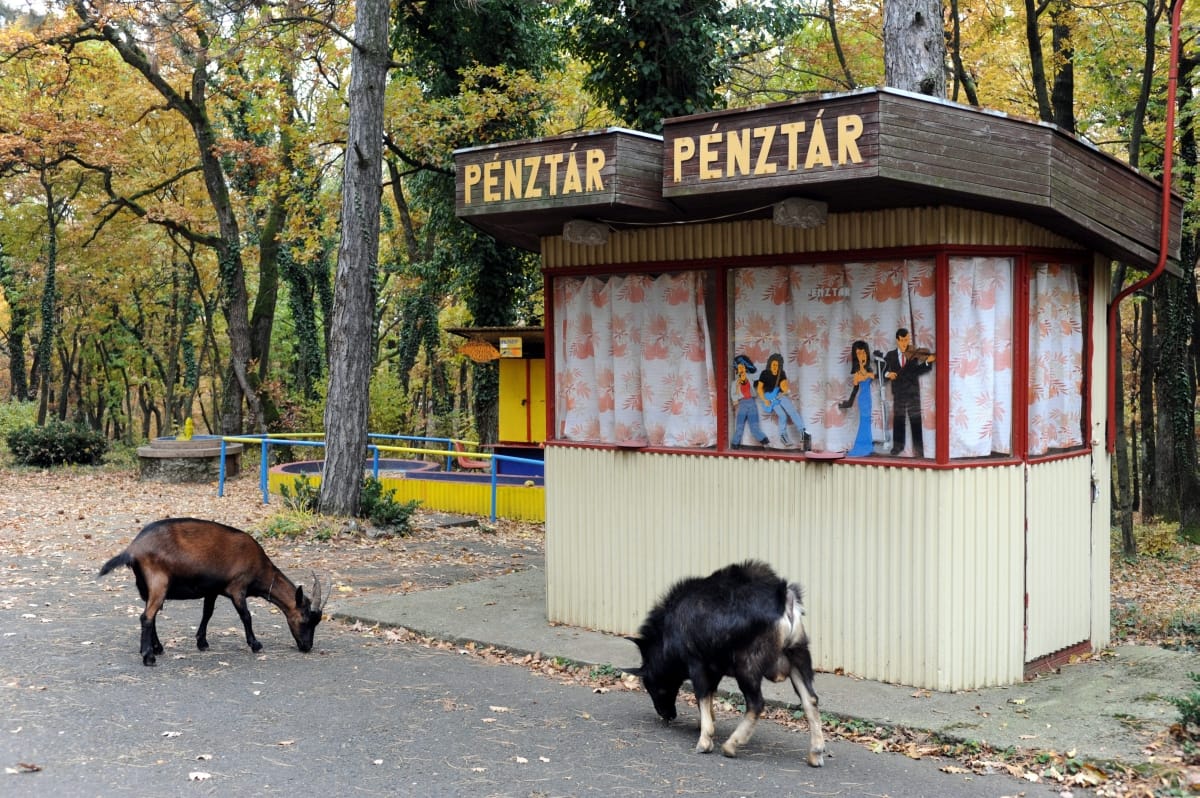 Lakat kerül a pécsi vidámparkra