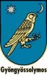 „Jogsértő az állampolgárokat kitiltó gyöngyössolymosi döntés”