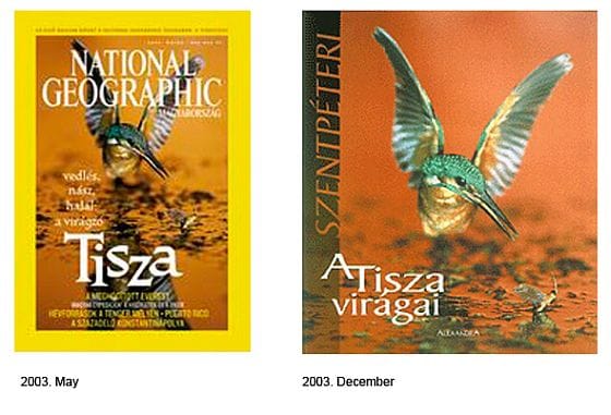Hamis fotókkal lett világhírű a magyar természetfotós?