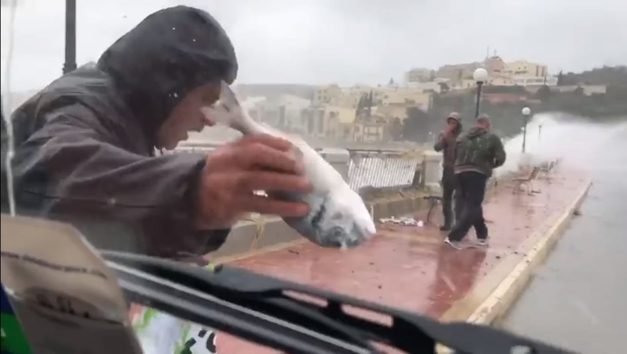 Videó: A partra fújta a halakat a vihar Máltán
