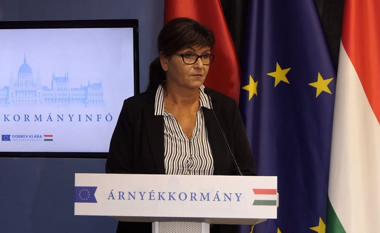 A DK kiperelné K. Endre kegyelmi döntésére vonatkozó adatokat