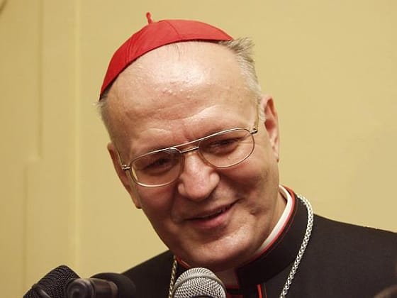 A katolikus iskolák támogatását félti Erdő Péter