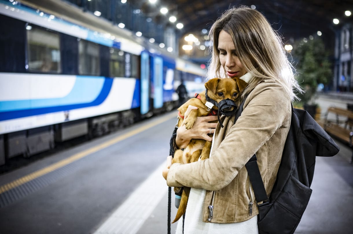 Vége a tesztidőszaknak, mostantól sokkal egyszerűbb kutyával utazni az InterCityken