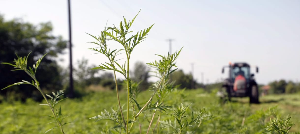 Itt megnézheti, a lakhelyén ki mennyi agrártámogatást kapott