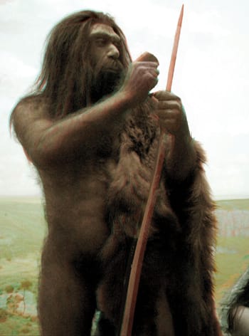A neandervölgyi sem evett több húst, mint a modern ember