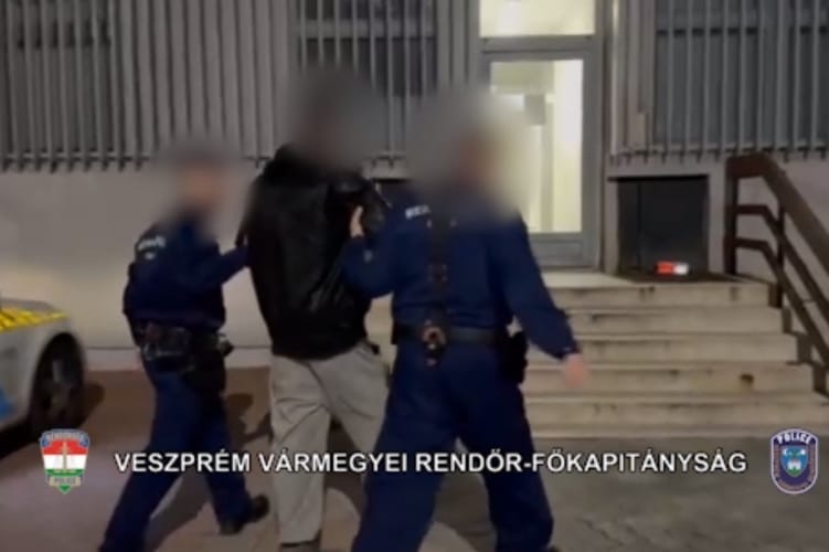 Veszprém belvárosában mutogatta a nemi szervét egy férfi