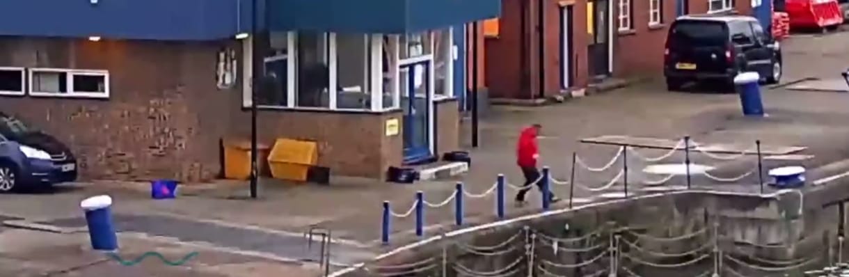 A nap hőse a macskamentő kikötői munkás – videó