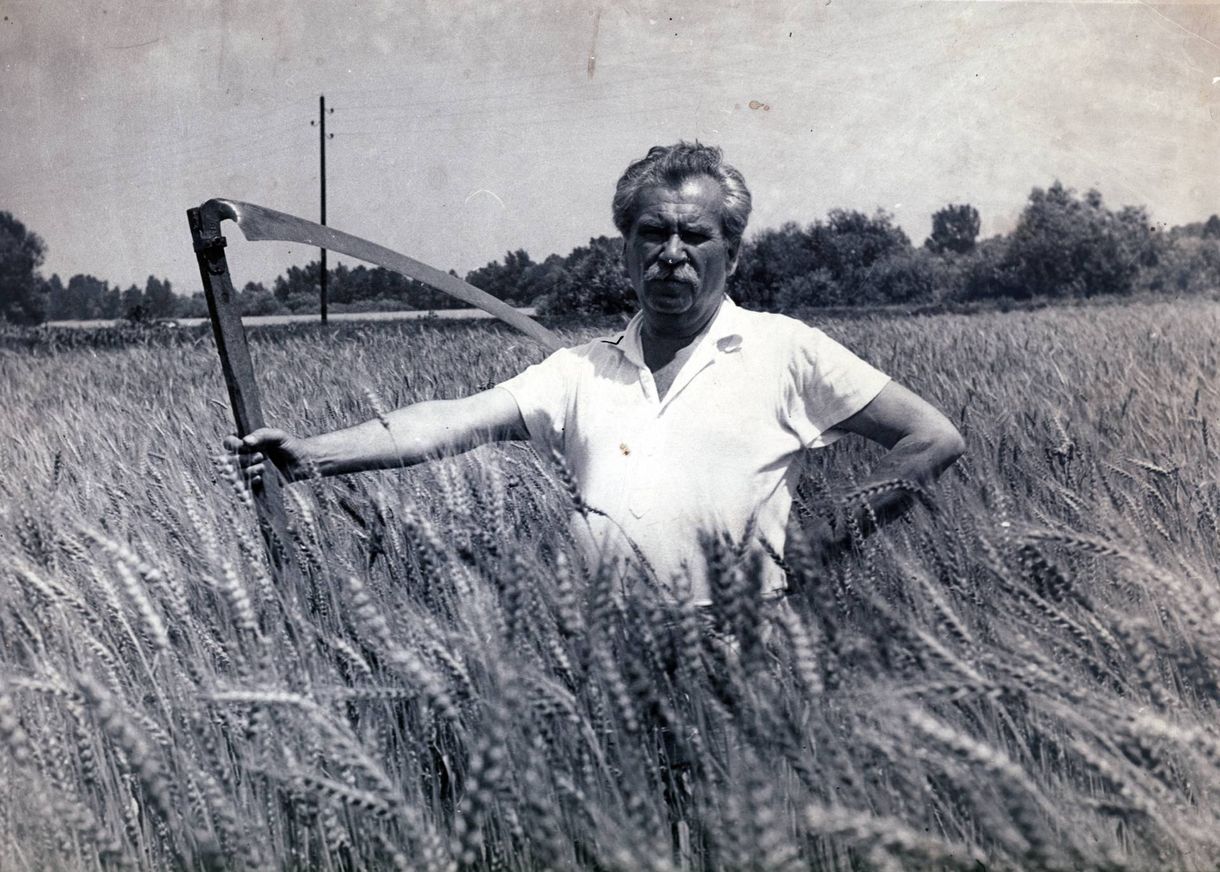 Móricz Zsigmond regényéből készül a „magyar Kártyavár”