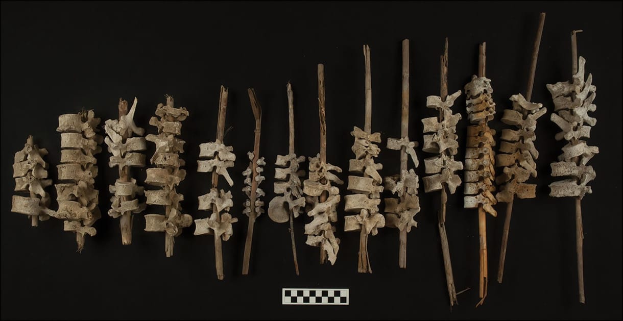 Nádcsövekre felfűzött gerinccsigolyákat találtak Peruban, összesen 192 darabot