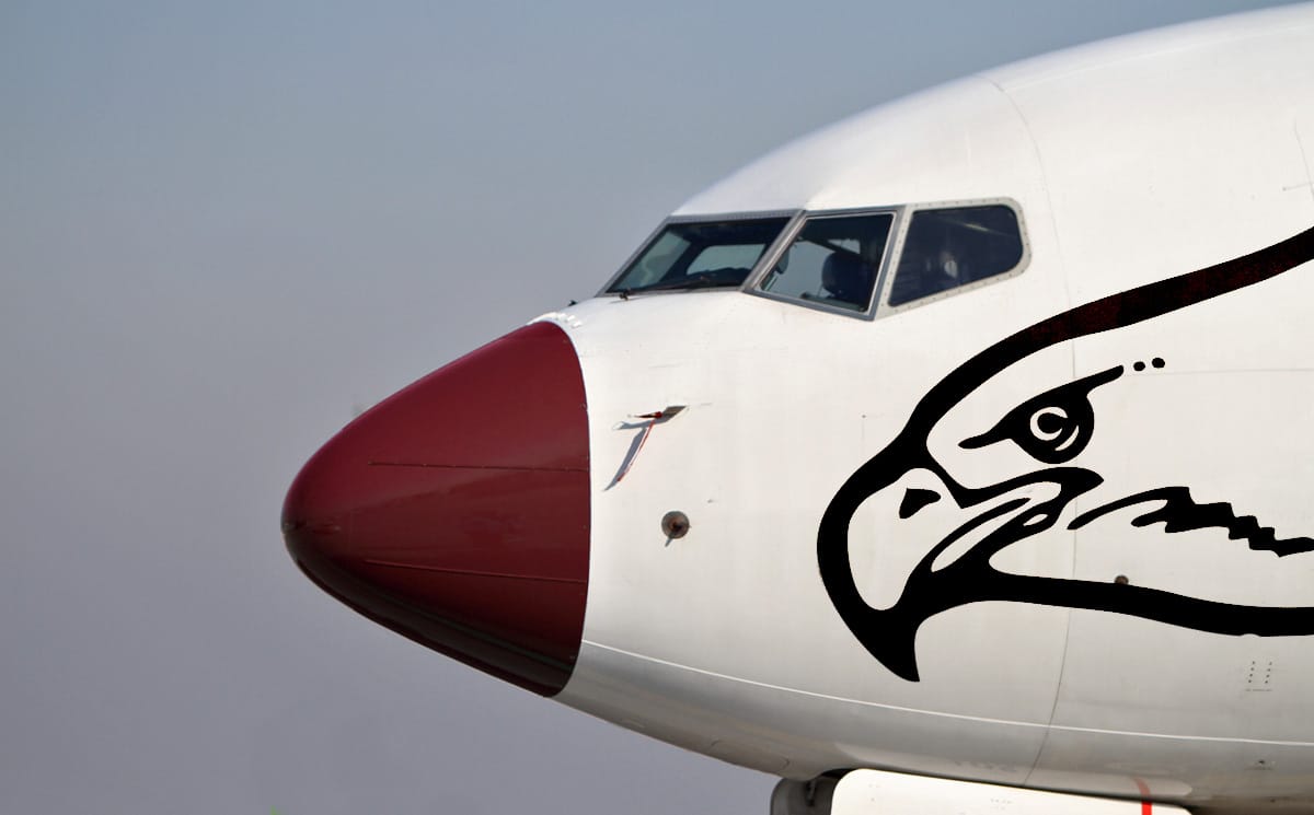 Lecsaptak a Sólyom Airways domainjeire