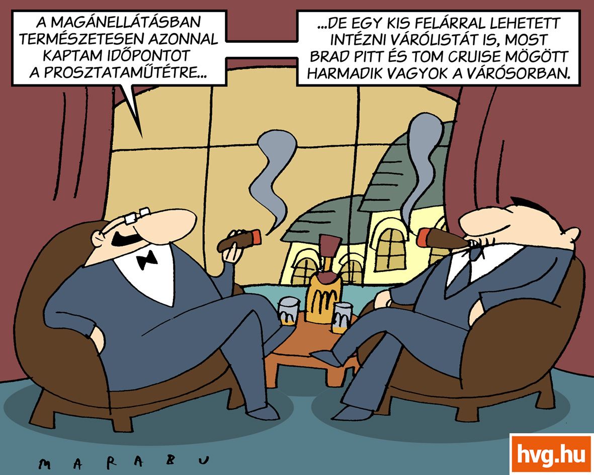 Marabu Féknyúz: Várólistás ellátás