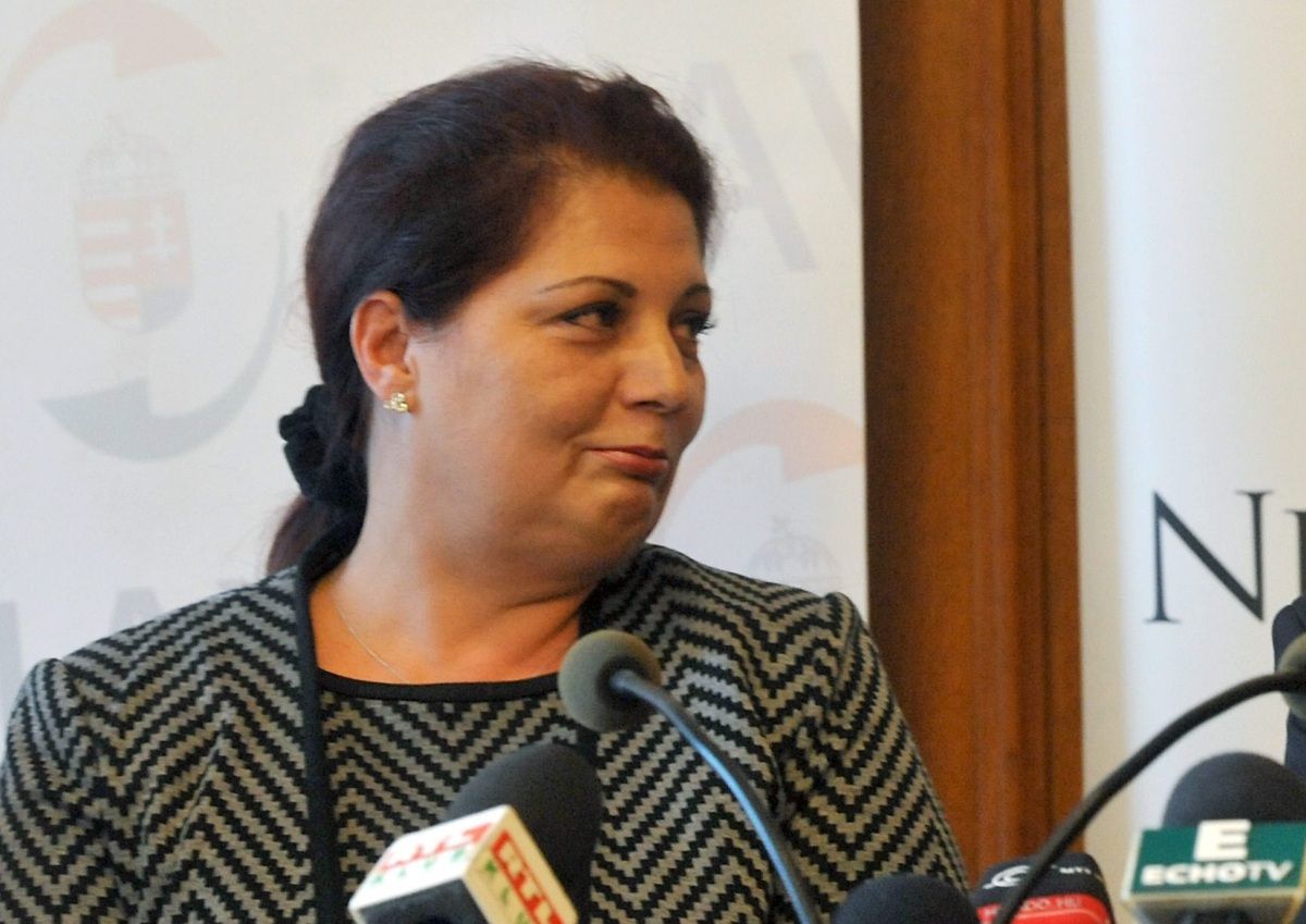 Tüntetést szerveznek Vida Ildikó NAV-elnök lemondásáért