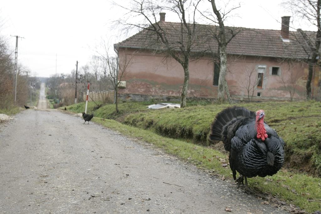Tudta, hogy van egy zsákfalu, amely város?