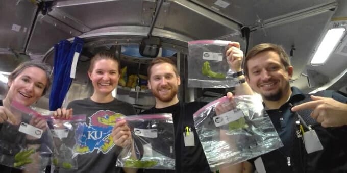 45 nap után véget ért a NASA eddigi legrealisztikusabb kísérlete: berendezték a Marsot a Földön
